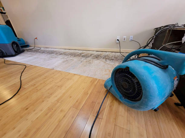 Professional Sewage Cleanup technician working in Carol Stream, IL